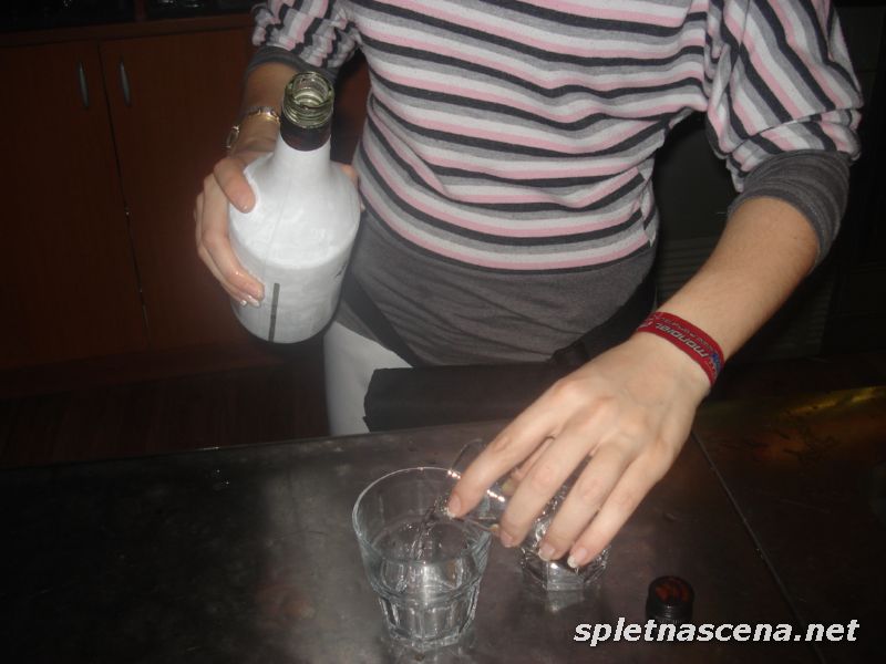 DSC04087